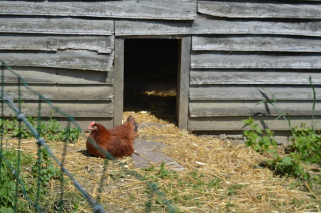 Au Passage Des Grues Bed & Breakfast Drosnay ภายนอก รูปภาพ