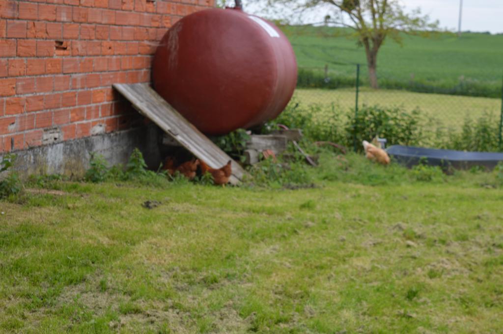 Au Passage Des Grues Bed & Breakfast Drosnay ภายนอก รูปภาพ